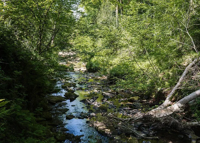 בית נופש Carwinley Mill House קרליסל